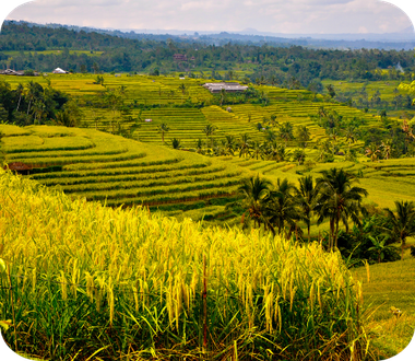 indonesië