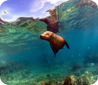 Baja California