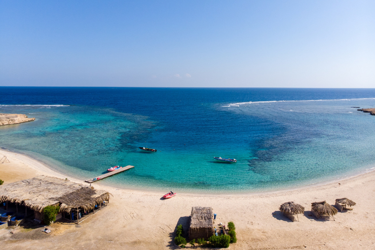 Blog Red Sea Diving Safari