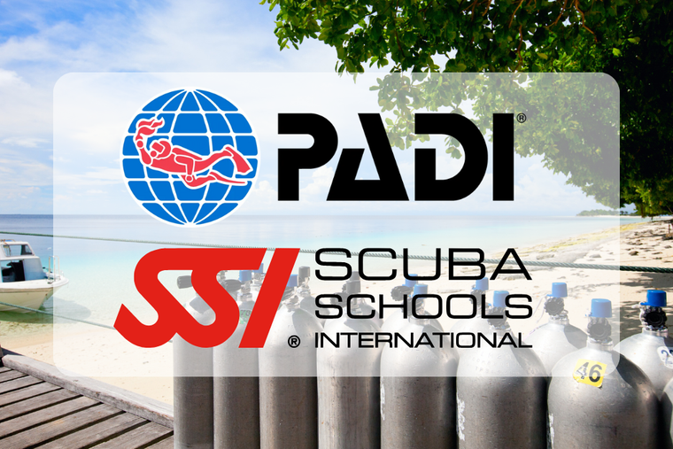 PADI of SSI main foto