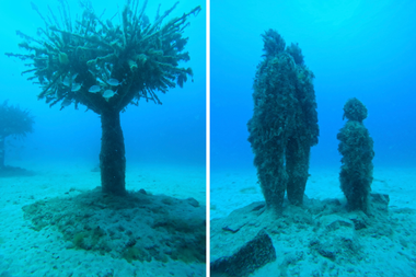 Onderwatersculpturen van een boom en twee menselijke figuren, bedekt met zeebegroeiing.