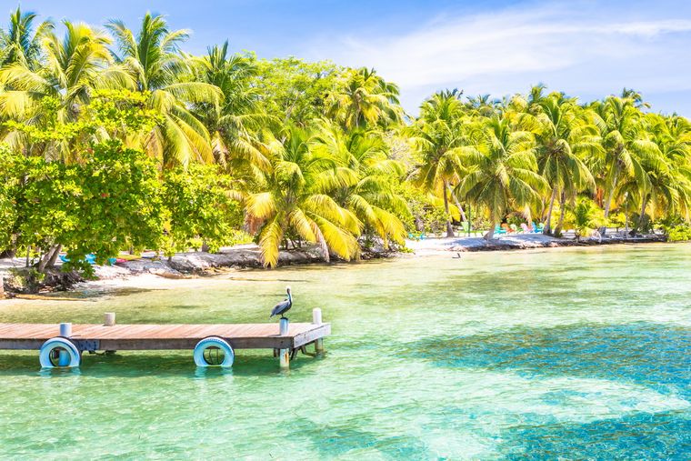 Tropisch strand met palmbomen, helder turquoise water en een houten steiger met een vogel erop.