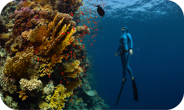 freediver