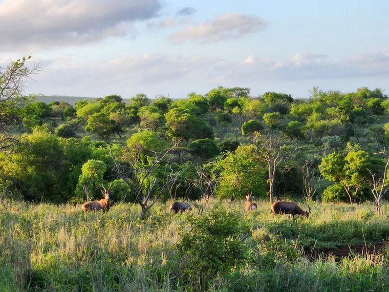 duiker game lodge