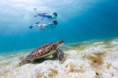 snorkelaar
